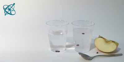 Ciensación experimento manos en la masa: Semillas flotantes ( química, densidad, solución)
